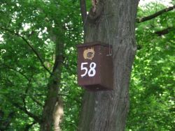 Le�r�s: Le�r�s: Le�r�s: Le�r�s: D:\web\szelence1\oko\mad-f-2015\DSCF3456.jpg