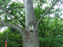 Le�r�s: Le�r�s: Le�r�s: Le�r�s: D:\web\szelence1\oko\mad-f-2015\DSCF3466.jpg