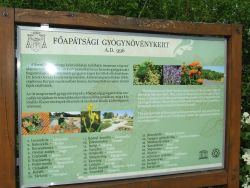 Le�r�s: Le�r�s: Le�r�s: Le�r�s: D:\web\szelence1\oko\mad-f-2015\DSCF3485.jpg